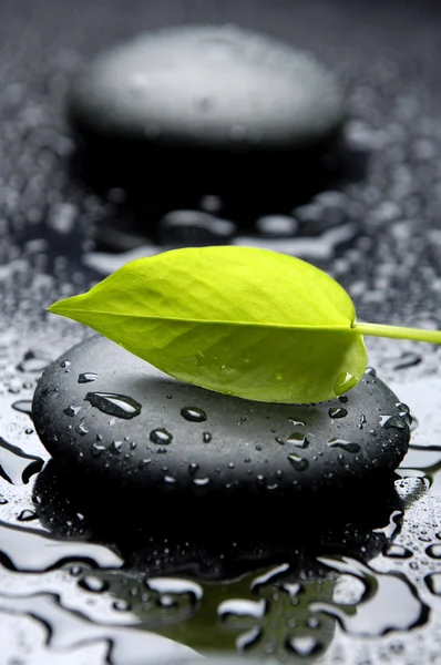 Våren blad med zen stenar — Stockfoto