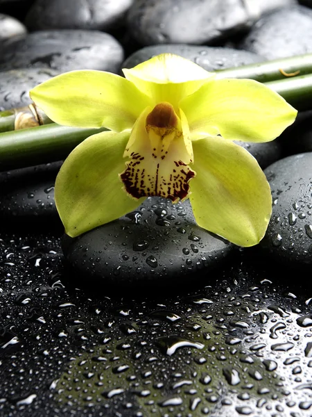 Spa naturaleza muerta — Foto de Stock