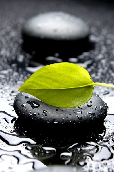 Leaf on wet pebble — Stock Photo, Image