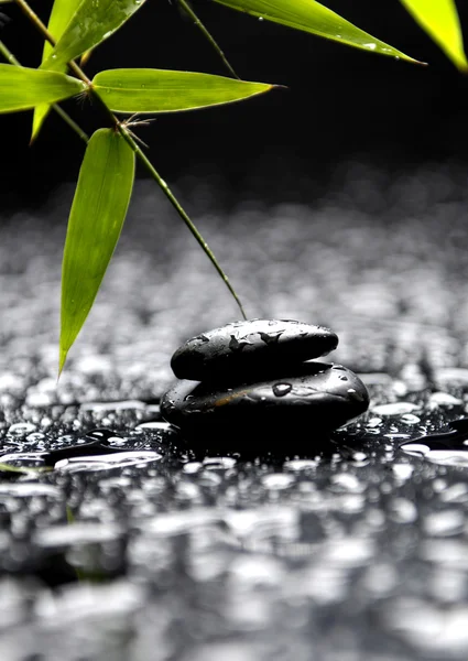 Naturaleza muerta — Foto de Stock