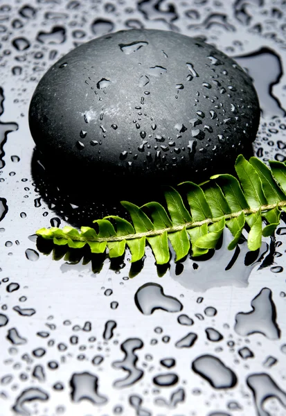 Três folhas trevo e pedras zen em gotas de água — Fotografia de Stock