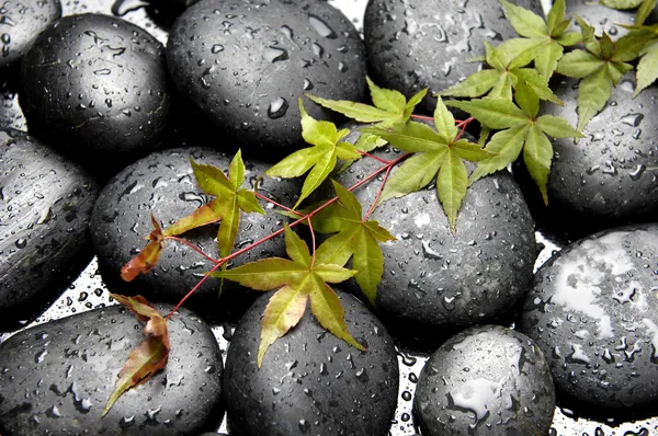 Spa still life — Stock Photo, Image