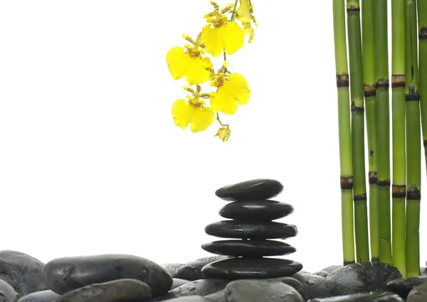 Still life with orchid and stones — Stock Photo, Image