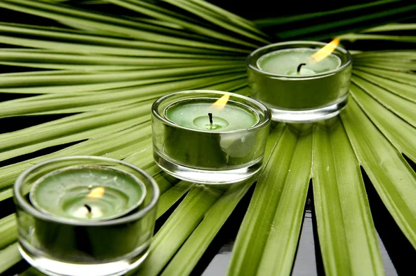 Green spa — Stock Photo, Image