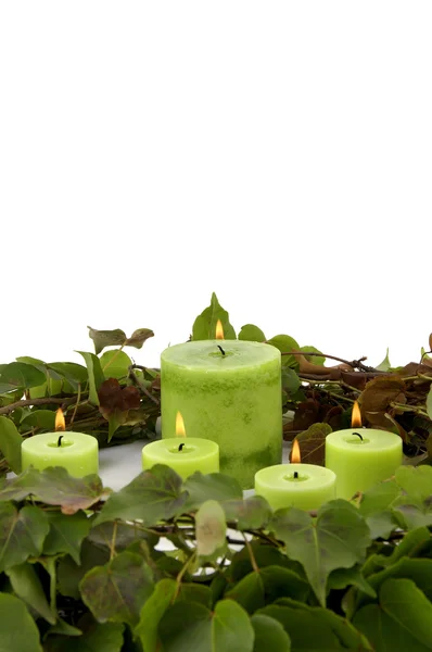 Burning candle and ivy leaves — Stock Photo, Image