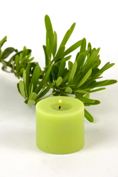 Green candle with pine — Stock Photo, Image