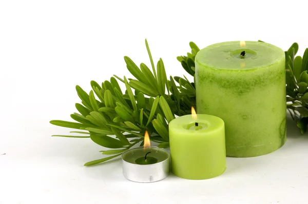 Green candle with pine — Stock Photo, Image