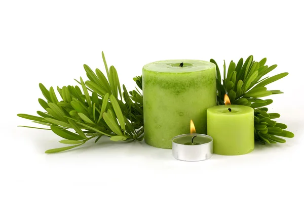 Green candle with pine — Stock Photo, Image