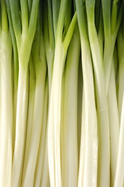 Fresh young onion — Stock Photo, Image