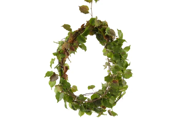 Ivy leaves frame — Stock Photo, Image