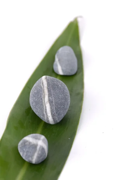Stones on a leaf — Stock Photo, Image