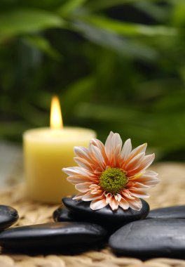 Spa oturma