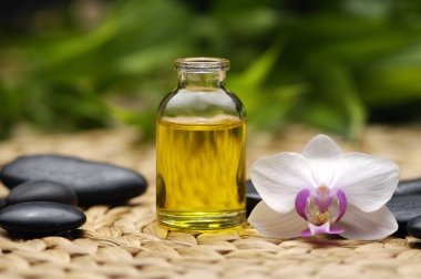 Spa oturma