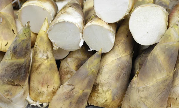 Bamboo shoots — Stock Photo, Image