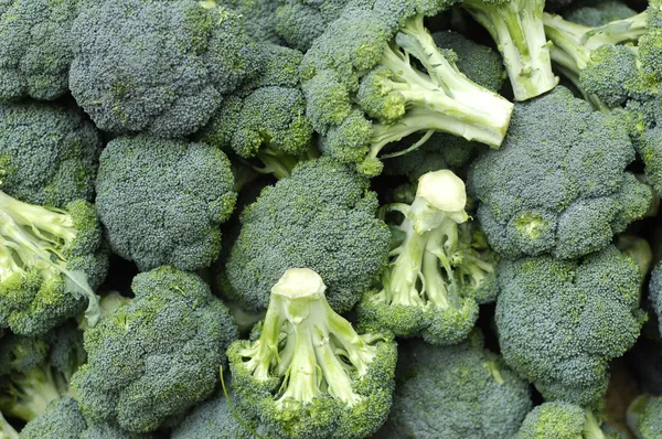 Broccoli — Stockfoto