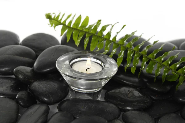 Orchid och zen stone på palm — Stockfoto