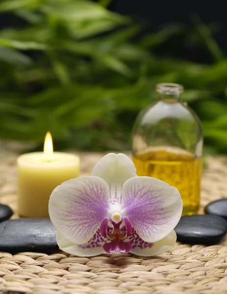 Spa concept — Stockfoto