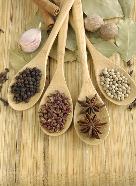 Spices in the spoons on straw background — Stock Photo, Image