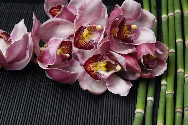 Orquídea en estera de bambú —  Fotos de Stock