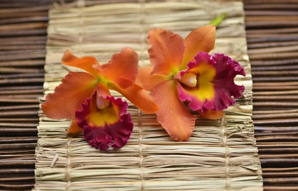 Orchidee auf einer Strohmatte — Stockfoto