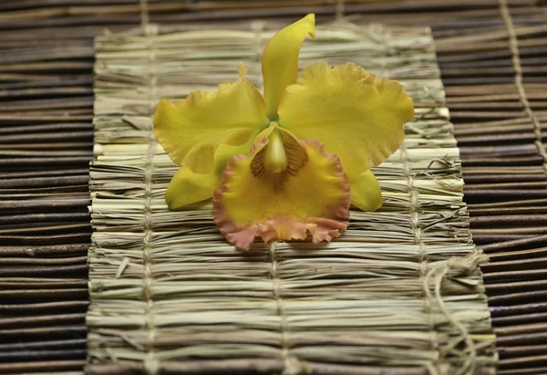 Spa ainda com orquídea — Fotografia de Stock