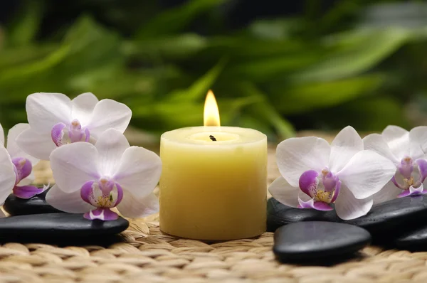 Spa still with orchid — Stock Photo, Image