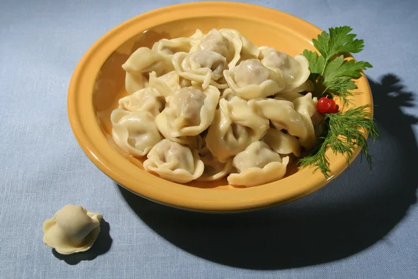 Vlees dumplings in aardewerk plaat met blaadjes van peterselie en rode bessen. — Stockfoto