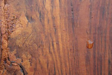 Doğal ahşaptan yapılmış eski bir kapının parçası, İtalya, Toskana bölgesi.