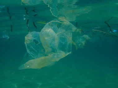 Suyun altında plastik çöp, Ege Denizi, Yunanistan, Halkidiki. Deniz kirliliği.