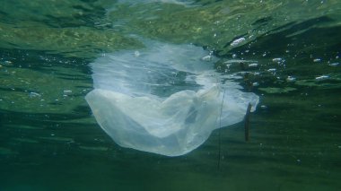 Suyun altında plastik çöp, Ege Denizi, Yunanistan, Halkidiki. Deniz kirliliği.