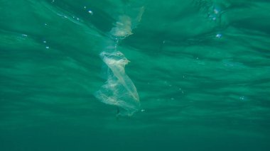Suyun altında plastik çöp, Ege Denizi, Yunanistan, Halkidiki. Deniz kirliliği.