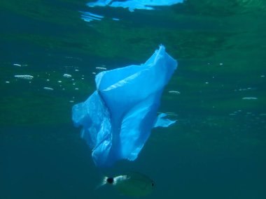 Suyun altında plastik çöp, Ege Denizi, Yunanistan, Halkidiki. Deniz kirliliği.