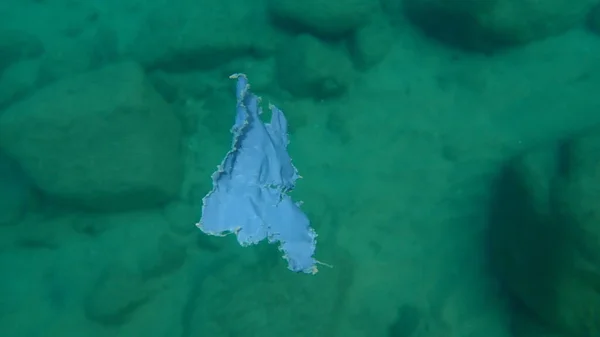 Suyun Altında Plastik Çöp Ege Denizi Yunanistan Halkidiki Deniz Kirliliği — Stok fotoğraf