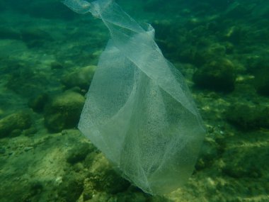 Suyun altında plastik çöp, Ege Denizi, Yunanistan, Halkidiki. Deniz kirliliği.