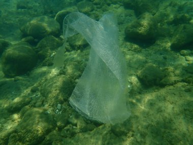 Suyun altında plastik çöp, Ege Denizi, Yunanistan, Halkidiki. Deniz kirliliği.