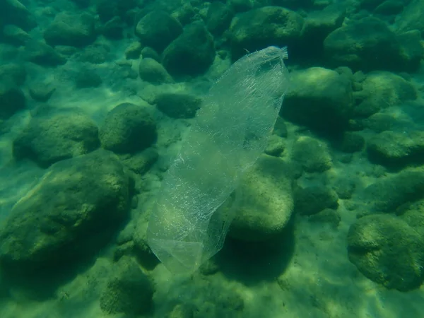 Suyun altında plastik çöp, Ege Denizi, Yunanistan, Halkidiki. Deniz kirliliği.