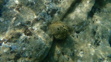 Orta dalgalar, Ege Denizi, Yunanistan ve Halkidiki ile rüzgarlı bir yaz gününde çarpıcı bir deniz manzarası