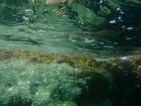 Superbe Vue Sous Marine Par Une Journée Été Venteuse Avec — Photo