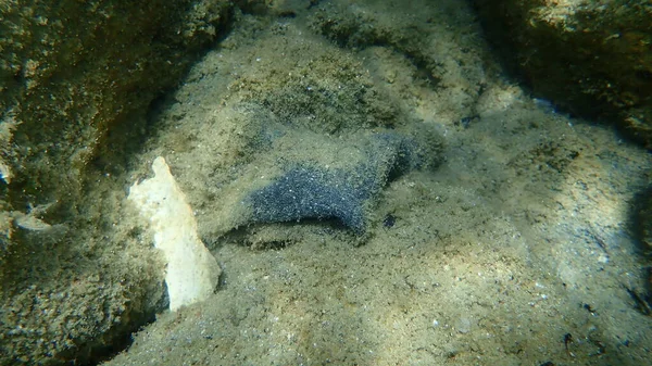 海の底の繊維からの廃棄物 エーゲ海 ギリシャ Halkidiki 海の汚染 — ストック写真