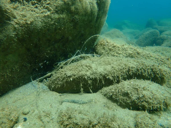 エーゲ海 ギリシャ ハルキディキの漁具からルビー 海の汚染 — ストック写真