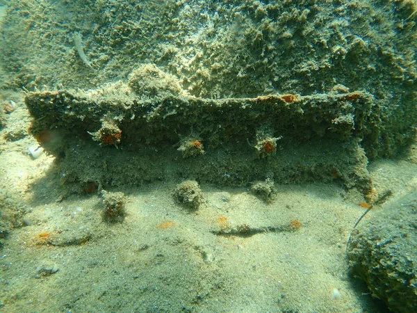 希腊爱琴海 哈尔基迪基 海底被藻类覆盖的金属角落 海洋污染 — 图库照片