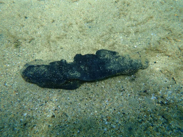 Digunakan Karet Dasar Laut Laut Aegean Yunani Halkidiki Polusi Laut — Stok Foto