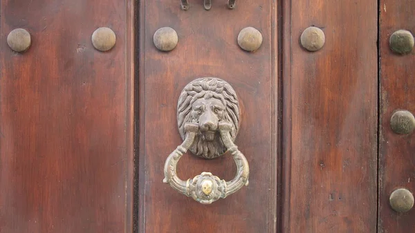 Vintage Brass Door Knocker Old Door Cuba Havana — Stock fotografie