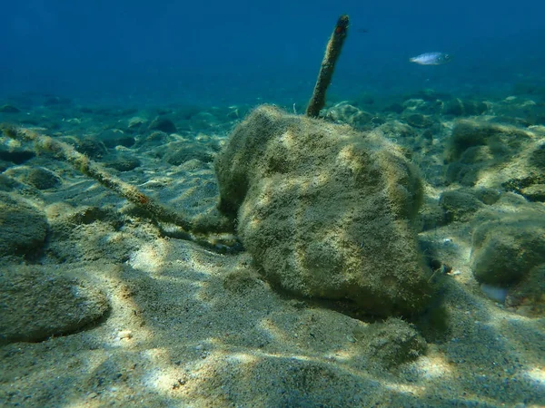 典型的な違法停泊海底 エーゲ海 ギリシャ Halkidiki 海の汚染とダイバーやスイマーへの危険 — ストック写真
