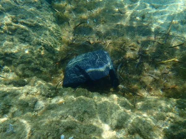 Spazzatura Plastica Sott Acqua Mar Egeo Grecia Calcidica Inquinamento Marino — Foto Stock