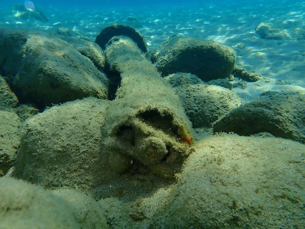 海底の石膏列 エーゲ海 ギリシャ Halkidiki 海の汚染 — ストック写真