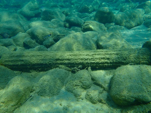 Deniz tabanında alçı sütun, Ege Denizi, Yunanistan, Halkidiki. Deniz kirliliği.
