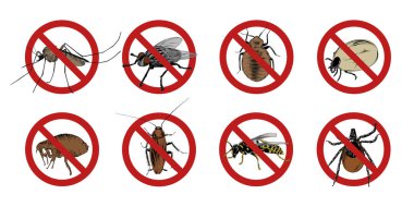 Poster, logo, amblem ve rozet için oymalı stil çizimleri. El çizimi böcek, sinek, enayi, sivrisinek, böcek, eşek arısı, karınca, hamamböceği. Yasak işaretler, dur, uyarı, yasak