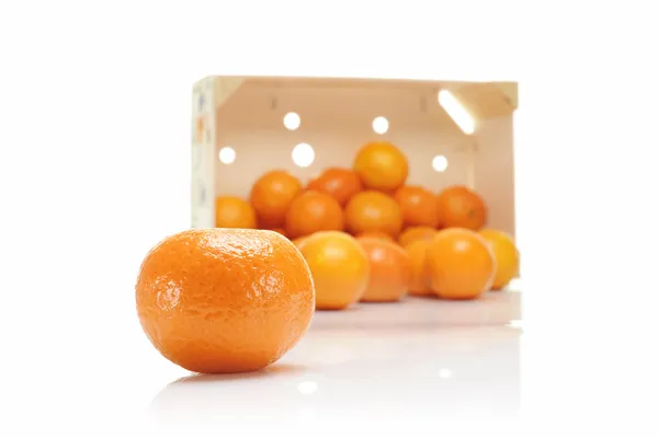 clementines sandık