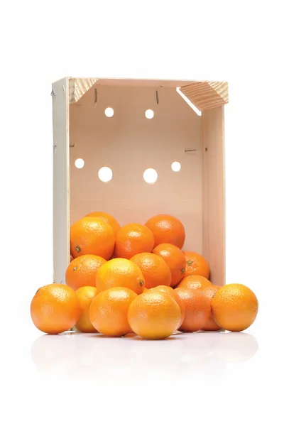 clementines sandık